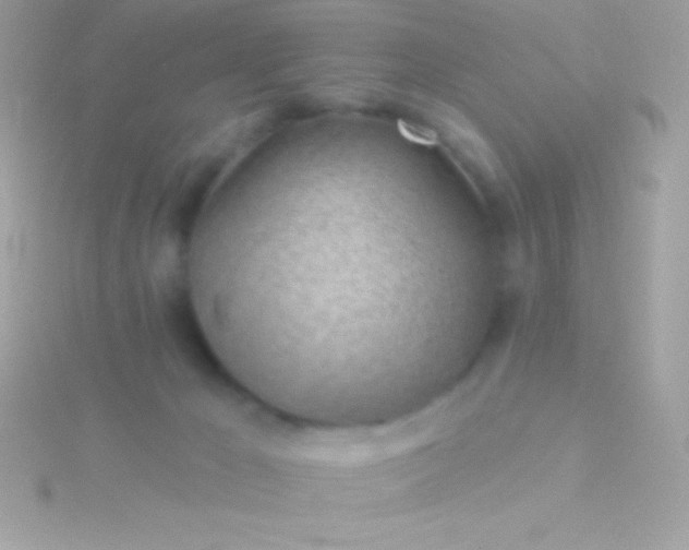 X0000115730029200911251948