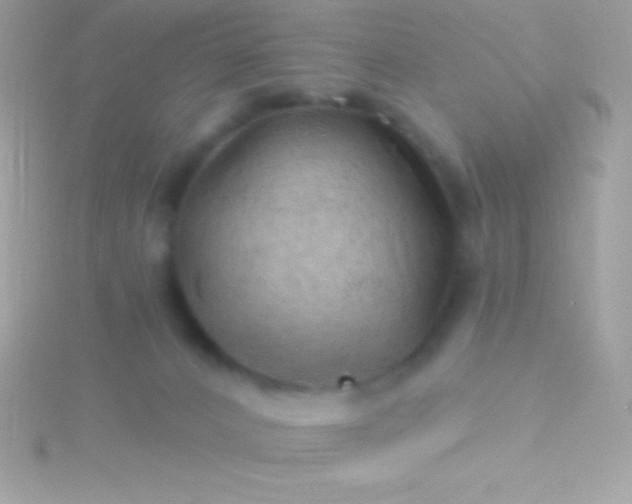 X0000115730032200911251947