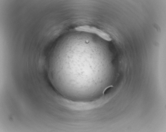 X0000115730034200911251947