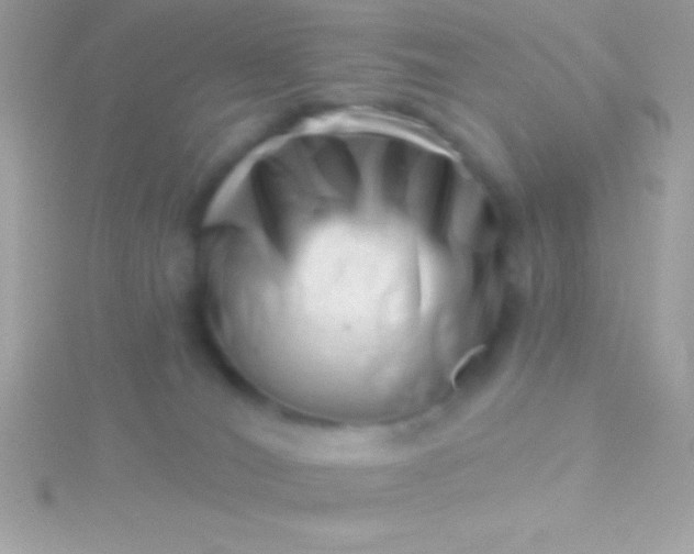 X0000115730036200911251947