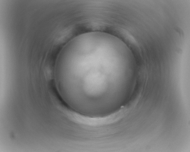 X0000115730039200911251947