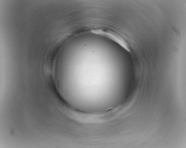 X0000115730040200911251947