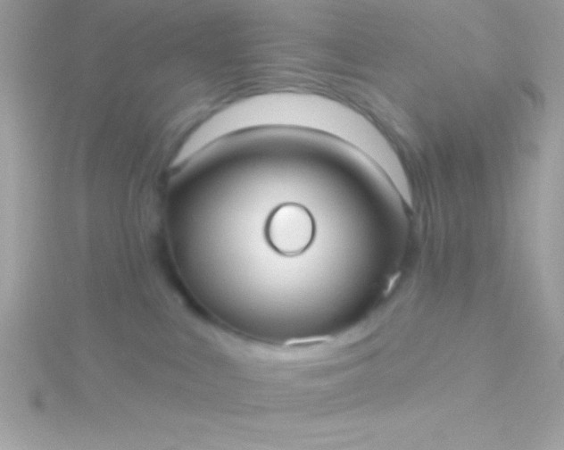 X0000115730043200911251947