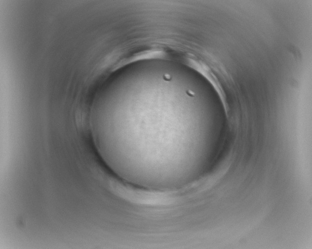 X0000115730044200911251947