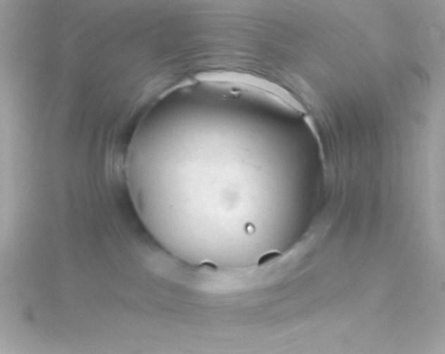 X0000115730045200911251947