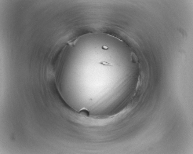 X0000115730048200911251947