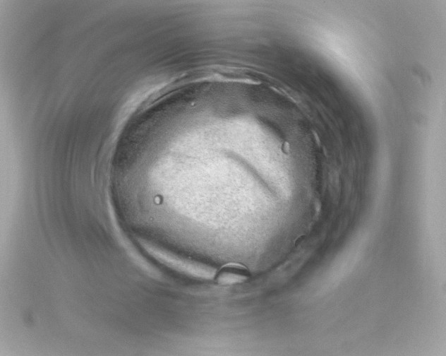 X0000115730049200911251946