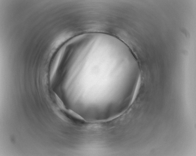 X0000115730050200911251947