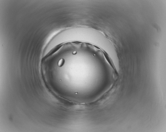 X0000115730052200911251947