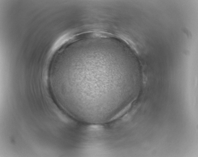 X0000115730053200911251947