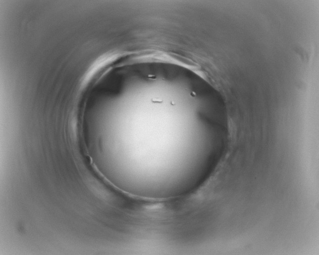 X0000115730054200911251947