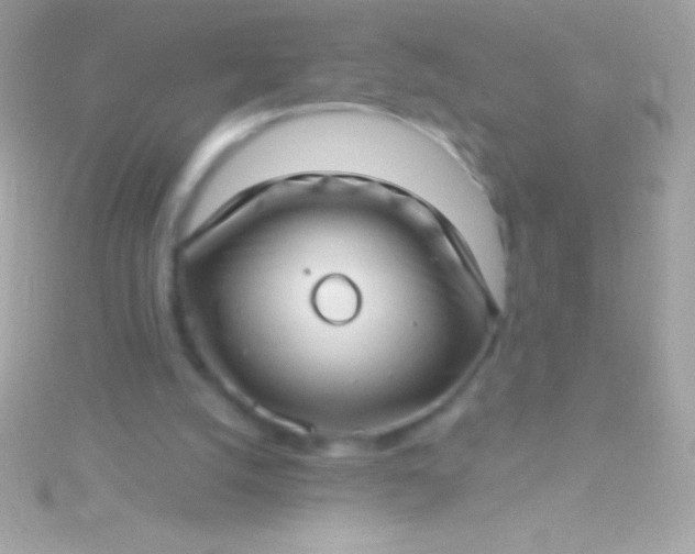 X0000115730056200911251947