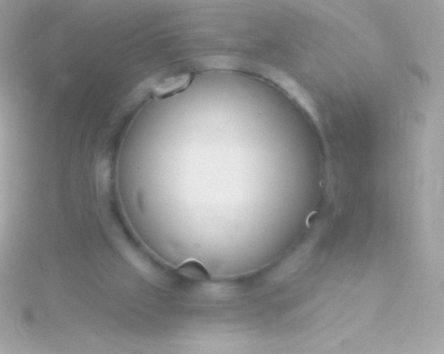 X0000115730057200911251947