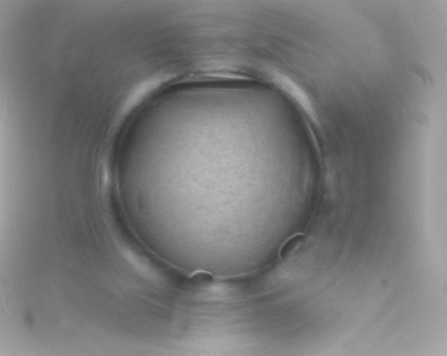 X0000115730059200911251947