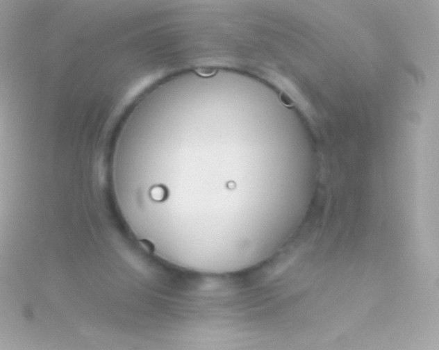 X0000115730060200911251947