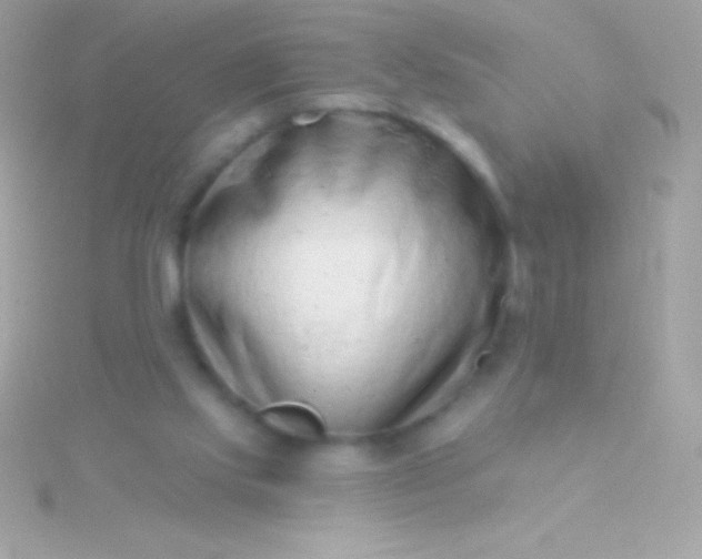 X0000115730061200911251947