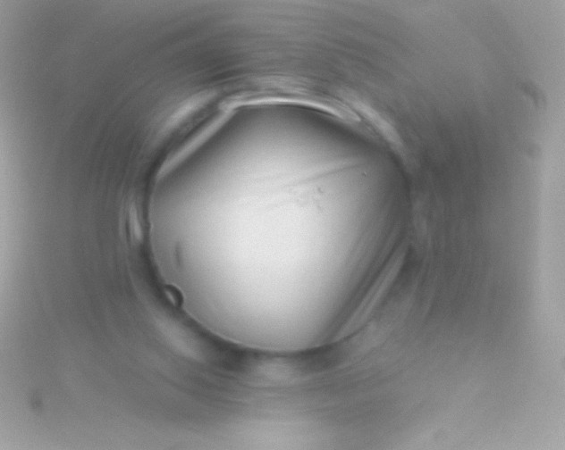 X0000115730062200911251947