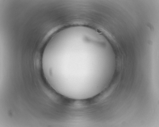 X0000115730064200911251947