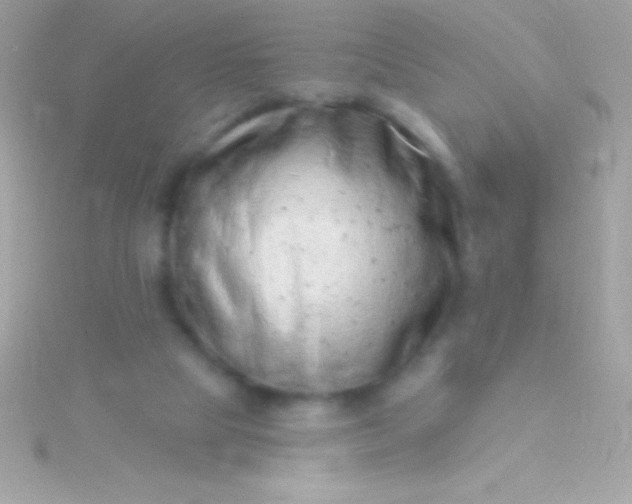 X0000115730065200911251947