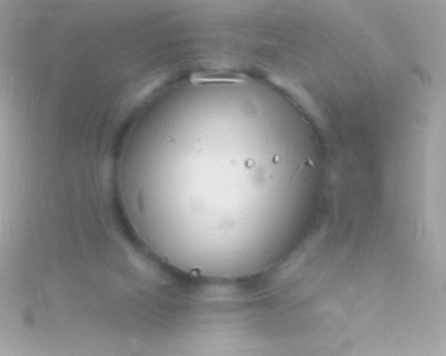 X0000115730066200911251947