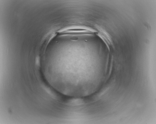 X0000115730067200911251947