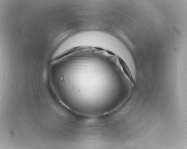 X0000115730068200911251947