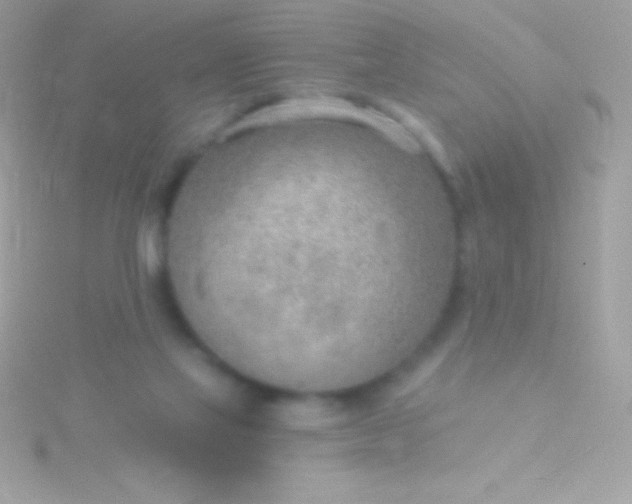 X0000115730069200911251947