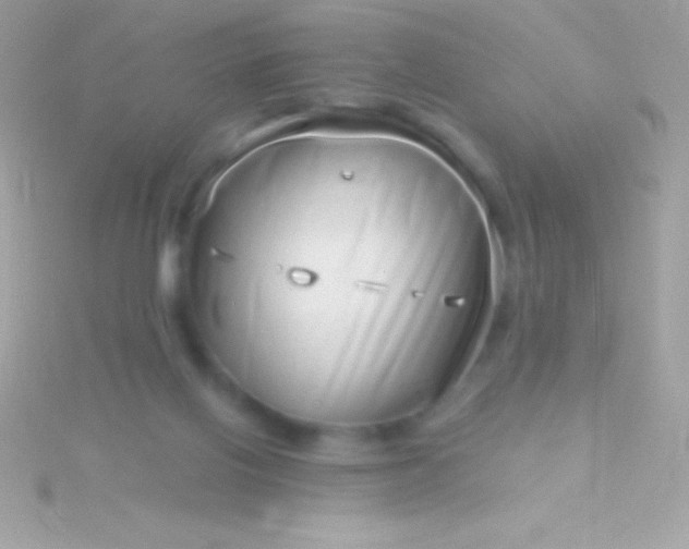 X0000115730070200911251947