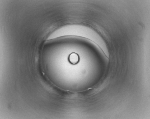 X0000115730072200911251947