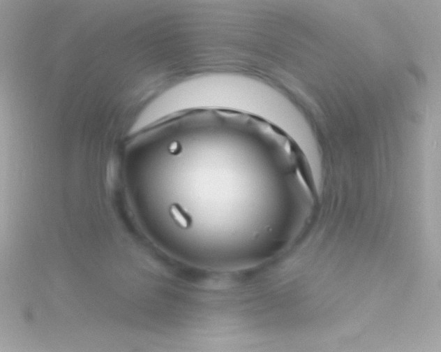 X0000115730076200911251947