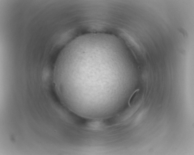 X0000115730079200911251947