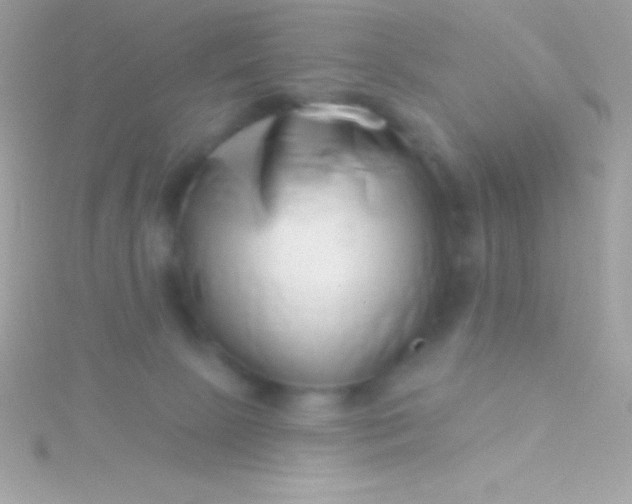 X0000115730081200911251947