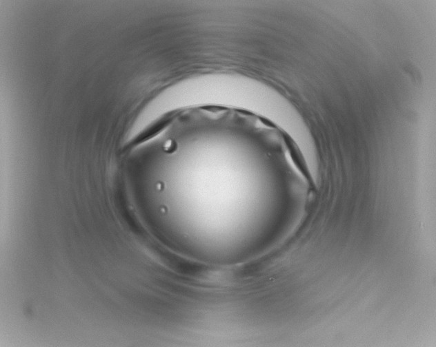 X0000115730084200911251947