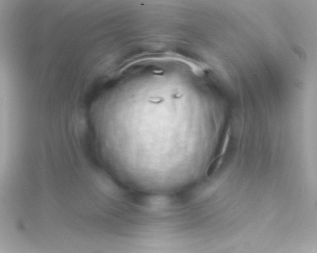 X0000115730085200911251947