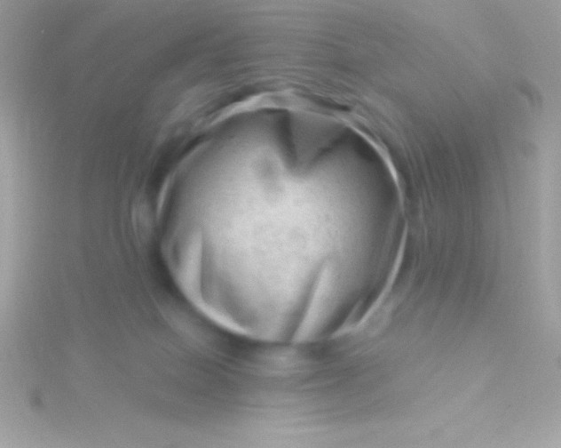 X0000115730086200911251947