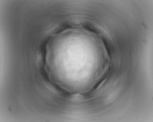 X0000115730087200911251947