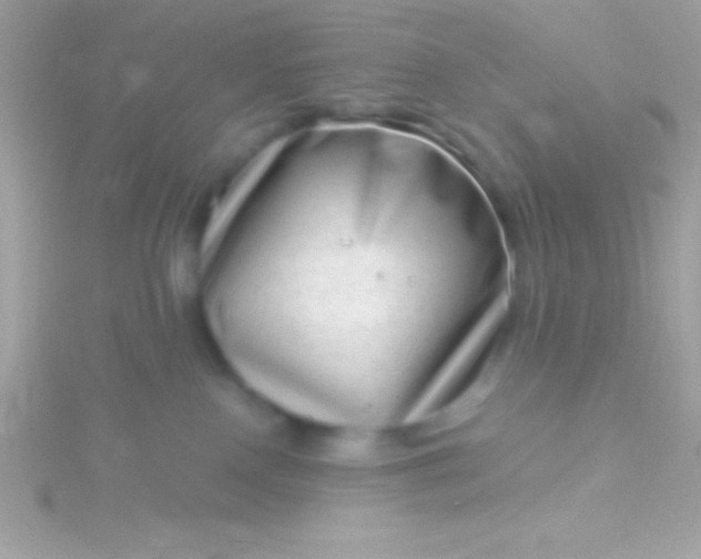 X0000115730090200911251947