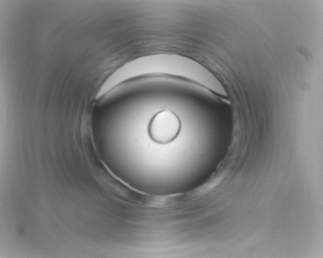 X0000115730096200911251947