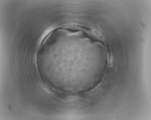 X0000115730099200911251946