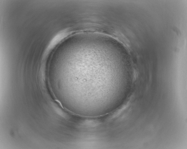 X0000115730101200911251946