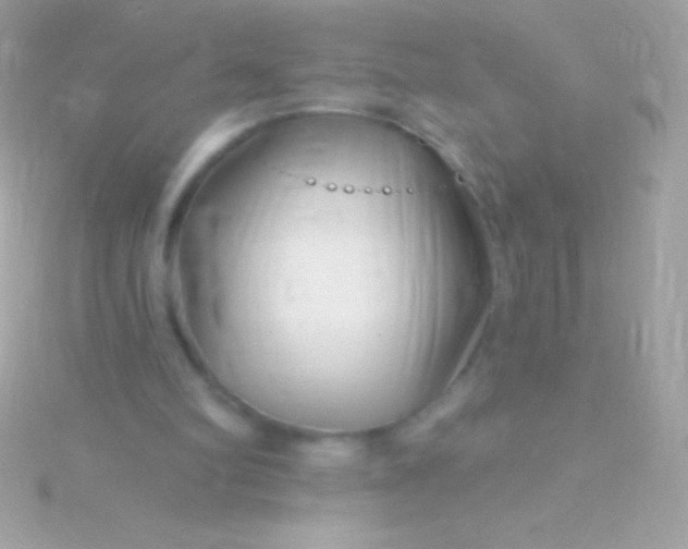 X0000115730102200911251946