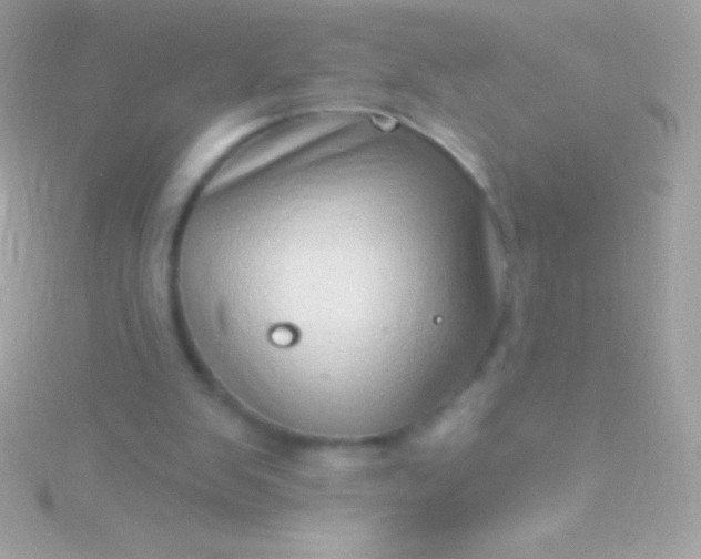 X0000115730103200911251946