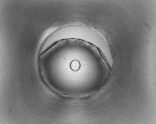 X0000115730104200911251946