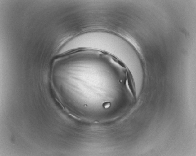 X0000115730105200911251946