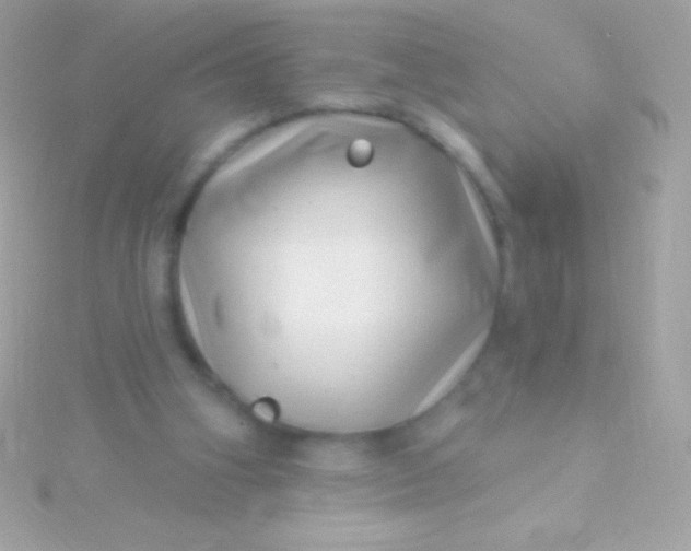 X0000115730106200911251946