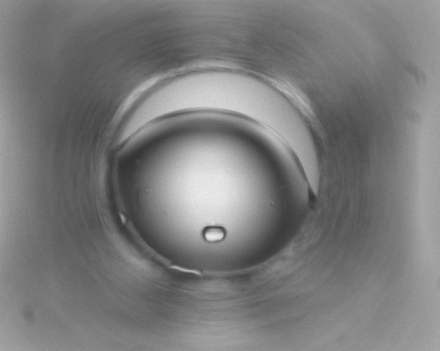 X0000115730108200911251946