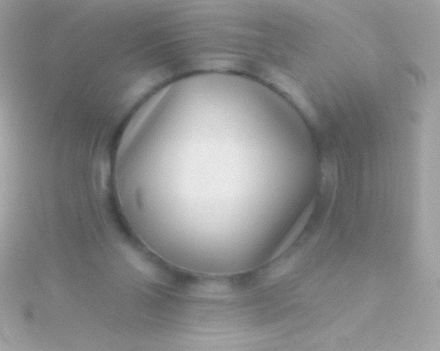 X0000115730110200911251946