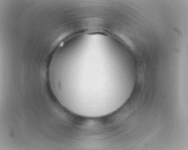 X0000115730111200911251946