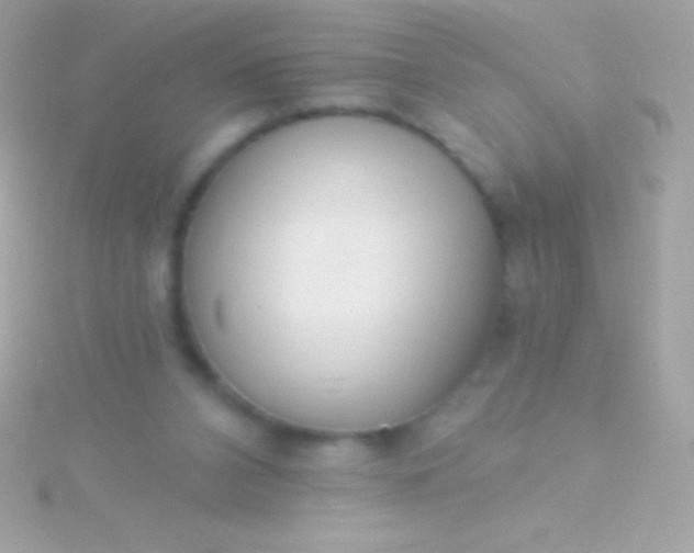 X0000115730112200911251946