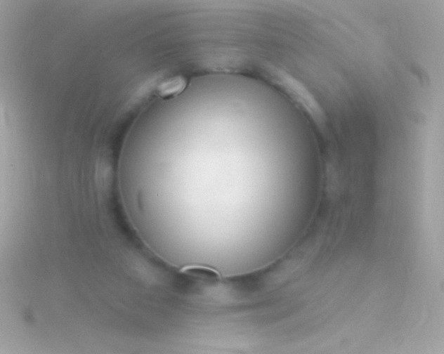 X0000115730113200911251946